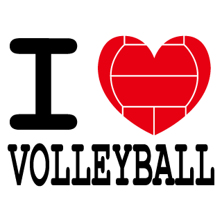0351/I LOVE VOLLEYBALL